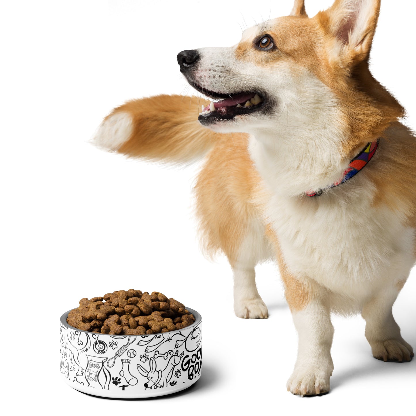 WoofBones Food Bowl